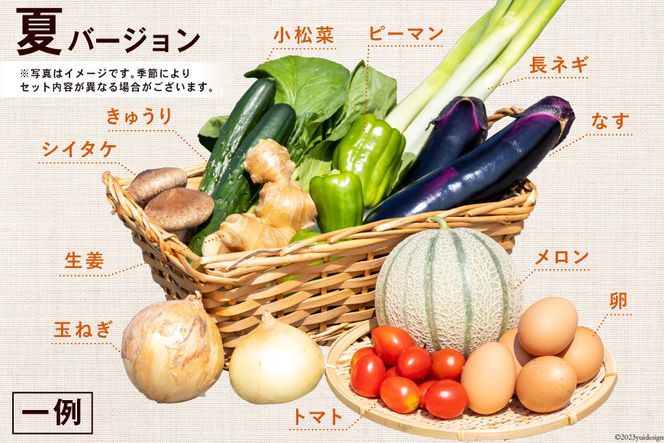 【CF01】AA025野菜・フルーツ・卵の旬のお任せ　Aセット