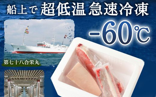 船元が直送! 厳選 天然 マグロ 3種 750g以上 | ミナミマグロ鮪250g メバチ鮪250g ビンチョウ鮪400g 南 目鉢 鬢長 セット まぐろ 食べ比べ みなみまぐろ めばちまぐろ びんちょうまぐろ ワケアリ わけあり 訳あり 刺身 さしみ 刺し身 冷凍 漬け 海鮮 丼 父の日 高知県 室戸市 ge002
