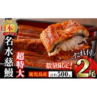 【数量限定】鹿児島県産うなぎ蒲焼 名水慈鰻 超特大サイズ２尾(1尾あたり236~270g)＜計約500g＞ a8-059