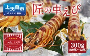 【上天草ブランド認証品】 匠の車えび【活き締め急速冷凍】300g(9尾～12尾) 