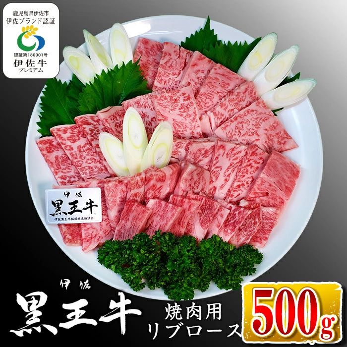 isa336 鹿児島県産黒毛和牛 伊佐黒王牛リブロース焼肉用!(500g)[プラン・ビー]