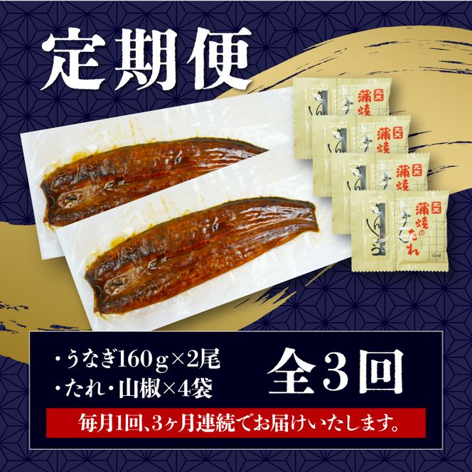 定期便 全3回 うなぎ 国産 蒲焼 160g × 2尾 計320g 鰻蒲焼 ウナギ 土用 丑の日  JAS認定 活鰻 自家製蒲焼のたれ 山椒 ギフト 贈答 冷凍 養殖 真空パック レンジ 調理 湯煎 まとめ買い 静岡県 藤枝 [PT0073-010000]