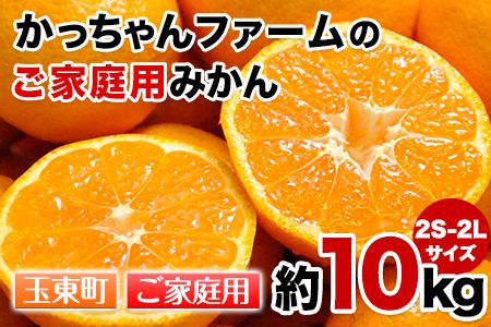 ご家庭用『かっちゃんファーム』のご家庭用みかん★ 約10kg[2S-2Lサイズ(大小サイズ混合)][1月上旬-1月末頃出荷予定] 自然本来のおいしさ!---sg_kmkn2s2l_ac1_25_10000_10kg---