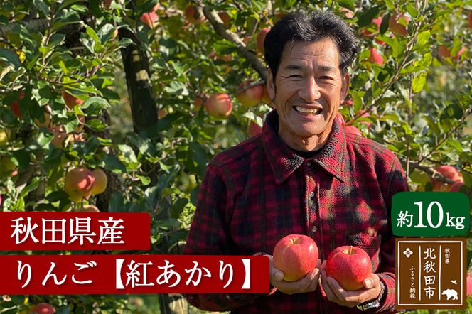 秋田県産 紅あかり りんご 約10kg （ご家庭用）リンゴ【12月上旬〜12月末まで順次発送】|ymdn-021001