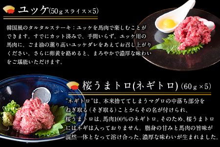 厳選プレミアムスライス馬刺しセット 950g 馬肉 冷凍 《60日以内に出荷予定（土日祝を除く）》 新鮮 さばきたて 真空パック SQF ミシュラン 生食用 肉---sms_fsennpress_60d_26_32500_950g---