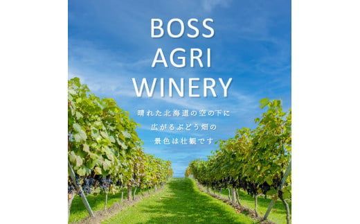 【オホーツクブランド認証ワイン】北見産ぶどう100％のワイン 桜夢雫 山幸(赤)( 山幸 赤 ワイン 北見市産ぶどう ぶどう 赤ワイン オホーツク ディナー )【075-0006-2023】