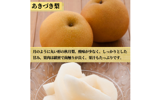 茨城県産 梨【品種おまかせ】約5kg【茨城県共通返礼品　かすみがうら市産】※2025年9月中旬～2026年1月下旬頃に順次発送予定 ※離島への配送不可