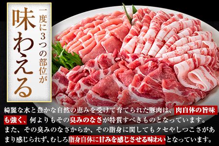  豚 肉 小分け しゃぶ しゃぶ 3種 熊本 うまか ポーク スライス 1.2-1.5kg 《11月出荷予定》熊本県産 冷凍 豚 豚肉 個別 個別包装 取分け 豚しゃぶ ぶたしゃぶ ロース バラ 肩ロース 鍋 トレー フィルム---oz_fumpsya_r7_12000_f1200g_ac11---