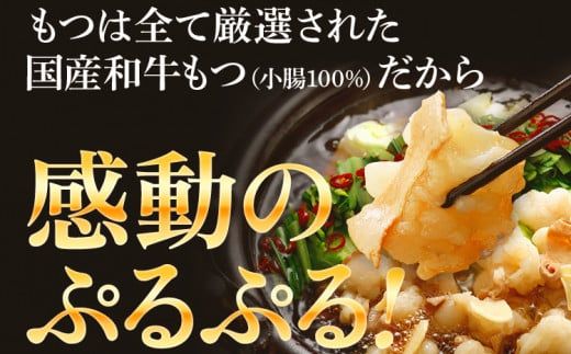 もつ鍋12人前 醤油味 12人前 醤油 醤油味 国産牛小腸 国産もつ モツ 鍋 お土産 美味しい 豪華 贅沢 福岡県 福岡 九州 グルメ お取り寄せ