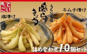 島らっきょう塩漬け・キムチ漬け　詰め合わせ10個セット - らっきょう漬け 国産 沖縄県産 らっきょ 島らっきょ 疲労回復 滋養強壮 人気 漬物 沖縄県 八重瀬町