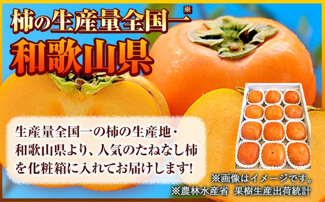 【2026年先行予約】【秋の味覚】和歌山産のたねなし柿2L〜4Lサイズ約4kg（化粧箱入り）《2026年10月上旬-11月上旬頃出荷予定》 和歌山県 日高町 かき 種なし---wsh_gsk165_10j11j_25_17000_4kg---