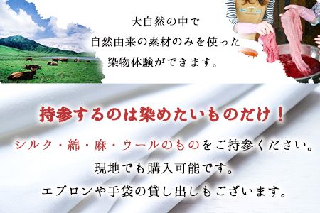 染物体験 香房やまぶどう《30日以内に出荷予定(土日祝除く)》熊本県 南阿蘇 体験 染物---isms_yamasome_30d_r7_9500_1i---