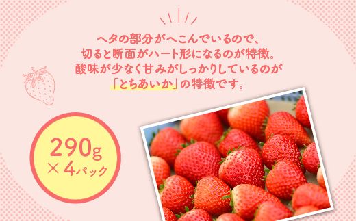 【先行予約】いちご とちあいかセット 290g×4パック（1.16kg以上） ※2025年1月上旬～4月中旬頃に順次発送予定