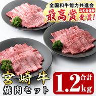 宮崎牛焼肉セット(合計1.2kg・ウデ焼肉400g、モモ焼肉400g、バラ焼肉400g)国産 九州産 宮崎県産 牛肉 黒毛和牛 和牛 焼き肉 霜降り 食べ比べ セット 冷凍 バーベキュー【R-55】【ミヤチク】