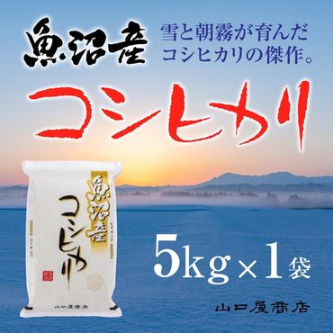 新潟県十日町市の返礼品一覧 | ふるさと納税サイト「ふるさとプレミアム」