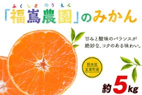 『福嶌農園』のみかん★約5kg(2S-Lサイズ) 予約受付中 フルーツ 秋 旬★熊本県玉名郡玉東町 甘みと酸味のバランスが絶妙♪『福嶌農園』みかん《11月中旬-1月下旬頃出荷》---sg_hukumkn_bc11_24_10500_5kg---