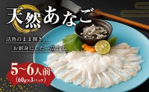 天然あなごの刺身【宗像産】1～2人前(60g)×3パック【宗像漁協】_HA0453