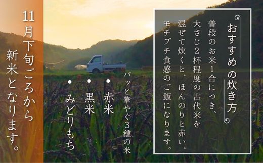 B1-13 自然栽培 古代米 ブレンド 300g×3袋 【赤米・黒米・みどりもち】