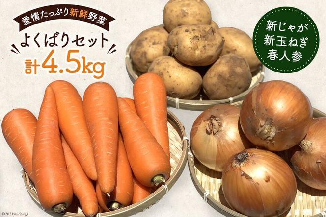 y茧szyߘa8NxoוzAF156 VႪEVʂ˂EtlQ̂悭΂Zbg