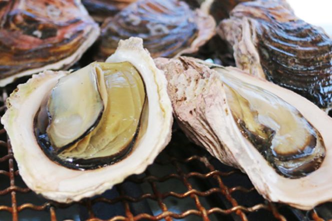 期間限定発送】岩牡蠣 殻付き 細島 岩ガキ 約3kg 日向特産 へべ 期間限定発送】岩牡蠣 殻付き 細島 岩ガキ 約3kg 日向特産 へべ