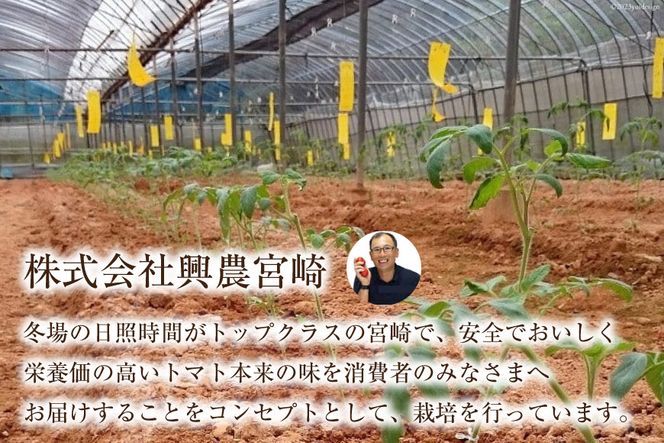 ゼリー 日向の雫 たっぷりトマトのプレミアムゼリー 130g×12個 [興農宮崎 宮崎県 日向市 452060901] 完熟 トマト 食塩不使用 無塩 国産