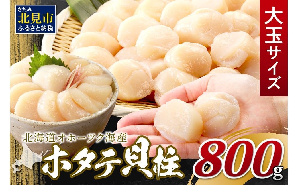 [2025年7月発送]北海道オホーツク海産 ホタテ貝柱 800g 生食用 大玉サイズ ( 海鮮 魚介 魚介類 貝 貝類 帆立 ほたて お刺身 刺身 貝柱 ホタテ )[037-0010]