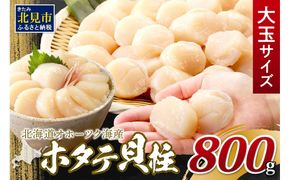 【2026年1月発送】北海道オホーツク海産 ホタテ貝柱 800g 生食用 大玉サイズ ( 海鮮 魚介 魚介類 貝 貝類 帆立 ほたて お刺身 刺身 貝柱 ホタテ )【037-0015】