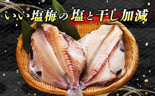 干物界の最高級魚 厳選した つぼ鯛 半身100g 6個セット | ツボダイ ツボ鯛 一夜干し 無添加 つぼだい 小分け 白身魚 釧路 おつまみ 焼魚 焼き魚 定食 魚 干物 セット ひもの 冷凍 人気の 訳あり！　121-1920-478-03