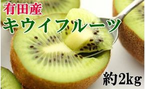 【人気】有田産キウイフルーツ約２kg（サイズ混合）★2025年１月下旬頃より順次発送  BZ076