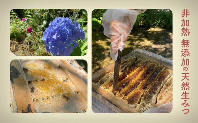 《石川県小松市産》　純粋日本はちみつ　白山ひめみつ　140g×2個 015032