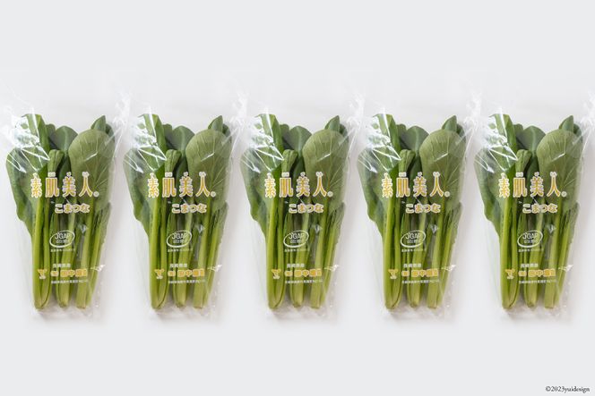 【BH012】小松菜 150g×5束