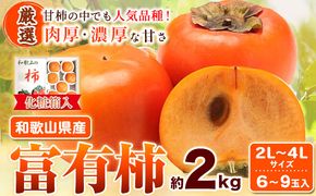 ＜先行予約＞［厳選・産直］和歌山産 富有柿 約 2kg (化粧箱入り) (2L～4Lサイズ) 厳選館《2025年11月上旬-12月下旬頃より出荷予定》和歌山県 日高町 柿 カキ フルーツ ジューシー---wsh_gsk12_ab1112_23_11000_2kg---