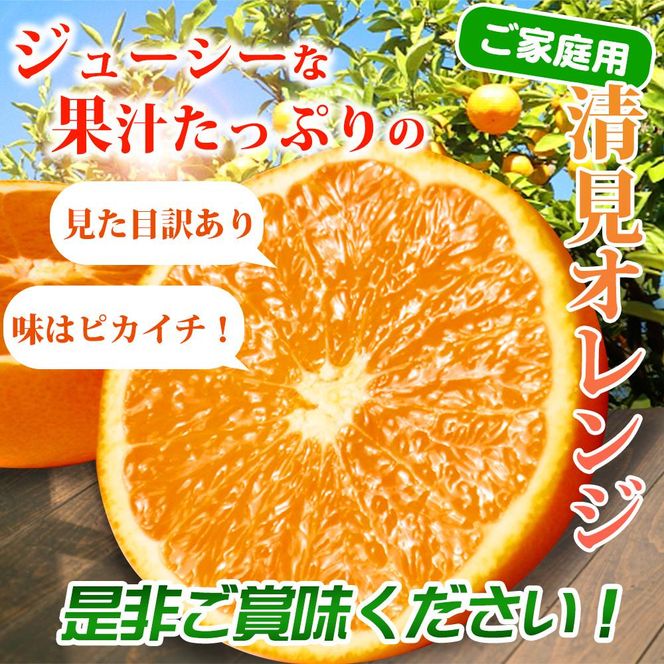 【ご家庭用訳アリ】紀州有田産清見オレンジ　7.5kg【2025年3月下旬以降発送】【先行予約】【UT54】 XF041