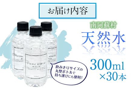 南阿蘇村 天然水 300mlボトル×30本 《30日以内に出荷予定(土日祝を除く)》 （スタイリッシュラベル）ハイコムウォーター 熊本県南阿蘇村 天然水---sms_hcmstl_30d_r7_12500_30i---