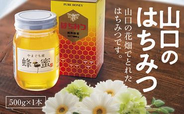 D-322 山口のはちみつ　500g