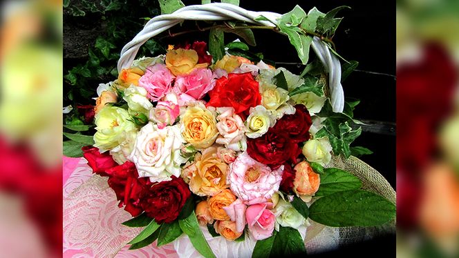 バラ「香りのバラアレンジメント」[BN004ci]