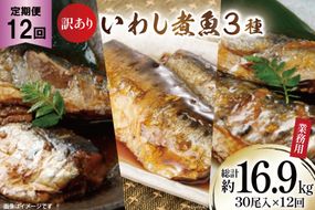 定期便 《12ヶ月連続お届け》 訳あり 業務用 いわし煮魚 (3種×10尾 計30尾入 約1.4kg)×12回 総重量約16.9kg [カネダイ 宮城県 気仙沼市 20563282] 生姜煮 梅肉煮 みぞれ煮