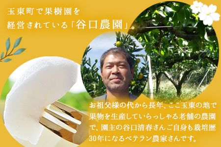『谷口農園』の玉東梨　約3kg 予約受付中《8月中旬-10月上旬頃出荷》【日付指定・品種指定不可】 熊本県 玉名郡 玉東町 梨 ナシ フルーツ 果物 送料無料 ギフト 贈答---sg_ctaninashi_g810_25_11500_3kg---