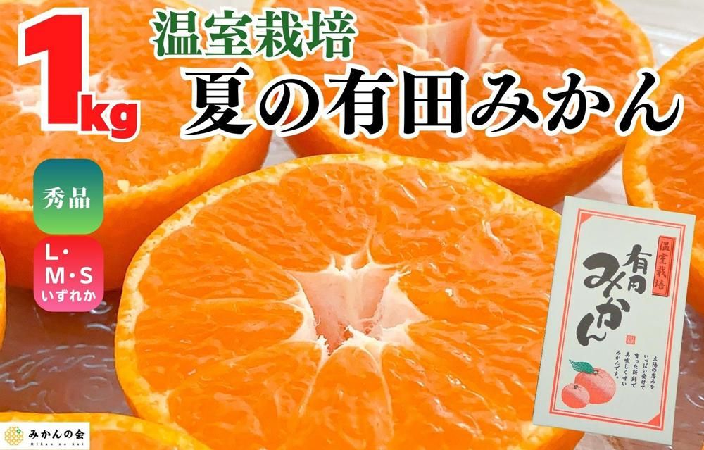 [5月出荷予定]ハウスみかん 温室栽培 夏の有田みかん 1kg 秀品 S・M・Lサイズのいずれか 和歌山県 産地直送 みかんの会