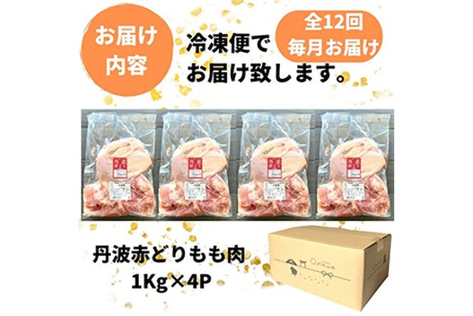 【訳あり】【12回定期便】丹波赤どり もも肉 4kg （1kg ×4パック×12回）計48kg＜京都亀岡丹波山本＞業務用 鶏肉 鶏 モモ肉 冷凍 12ヶ月 1年間