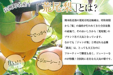 熊本県産梨 梨ジャム3個セット あなた本舗《30日以内に出荷予定(土日祝除く)》---sn_anatajam_30d_r7_12500_540g---