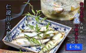 【6月から9月の発送】仁淀川の天然鮎（4匹～8匹）★冷蔵