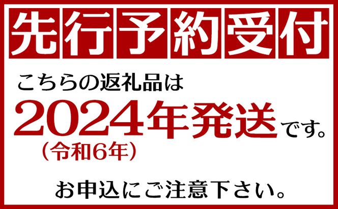 【2024年発送】沖縄市　完熟マンゴー（大）約2kg　化粧箱・秀品