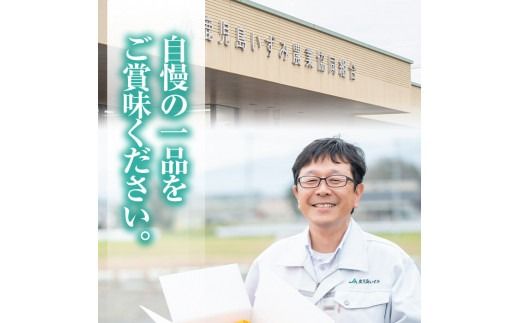 紅甘夏缶詰(295g×6缶)国産 柑橘 果物 フルーツ あまなつ 加工品 缶詰め デザート おやつ【鹿児島いずみ農業協同組合】akn018-09