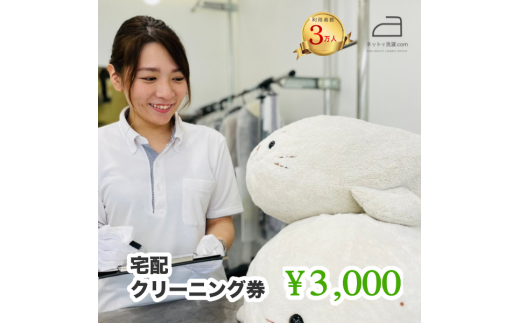 ネットで洗濯クリーニング券3,000円分  166-004