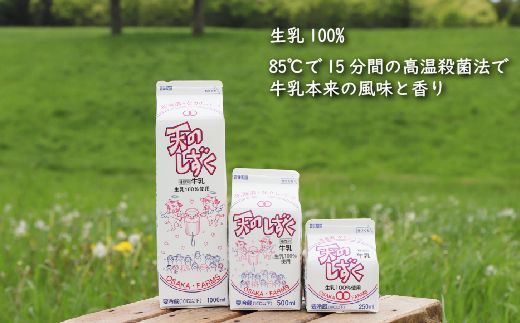 【定期便：全6回】天のしずく　詰め合わせセットＡ(1000ml×3本・500ml×3本・250ml×3本,合計5.2L)【51003】