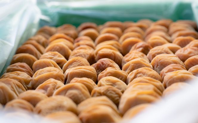 百福梅　個包装十二福　木箱入り有田みかん蜂蜜梅12個入（300ｇ）E003