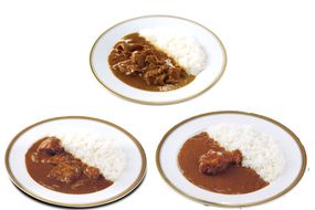 【B3-053】工場直売「いいづかカレー」3種のカレー15食セット