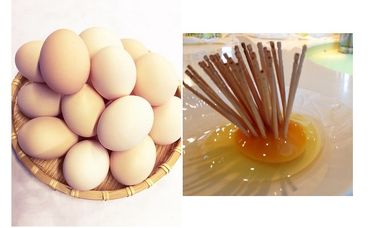 初たまご プレミアムひまわりたまご(54個程度)※破卵補償10個含 卵 鶏卵 玉子