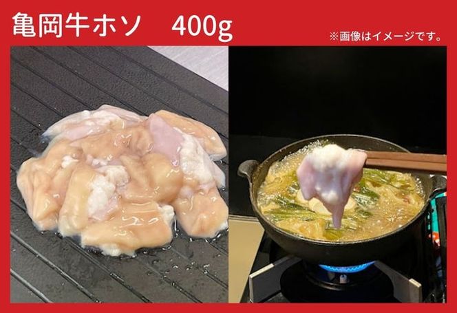 亀岡牛 極上 もつ鍋 セット【牛もつ 600g入】＜亀岡牛専門 木曽精肉店＞≪和牛 牛肉≫ ※北海道・東北・沖縄・その他離島への配送不可